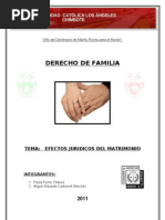 Download Ensayo Efectos Juridicos Del Matrimonio by SOCIEDAD DE ALTOS ESTUDIOS DEL DERECHO SN53212247 doc pdf