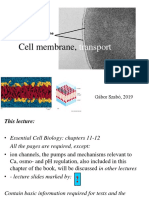 02 CB Membrane 2019