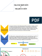 TRANSCRIPCIÓN