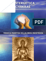 Sintergetica y Chakras