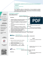 CV Documentado Denis