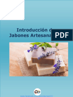 1- Introducción de Jabone