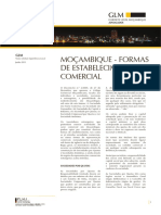 Formas de Estabelecimento Comercial Em Mocambique