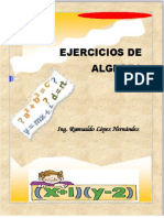 Manual de Ejercicios de Algebra