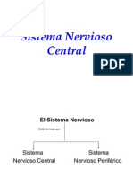L-Snc-090413182316-Phpapp01 SISTEMA NERVIOSO CENTRAL