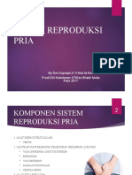 Sistem Reproduksi Pria