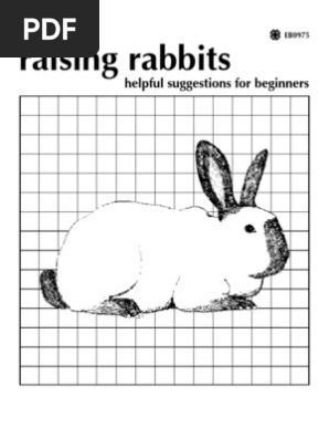 Raising Rabbits.pdf