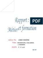 Rapport Metier Et Formation Compress (1)