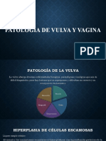 Patologia de Vulva y Vagina