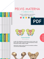 Pelvis Materna y Cabeza Fetal 