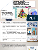 Terminos y Plan de Actividades PDF