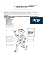 Guía-Ciencias-2° - Evaluación Organos