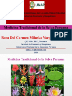 Medicina tradicional de la selva peruana: plantas y prácticas curativas