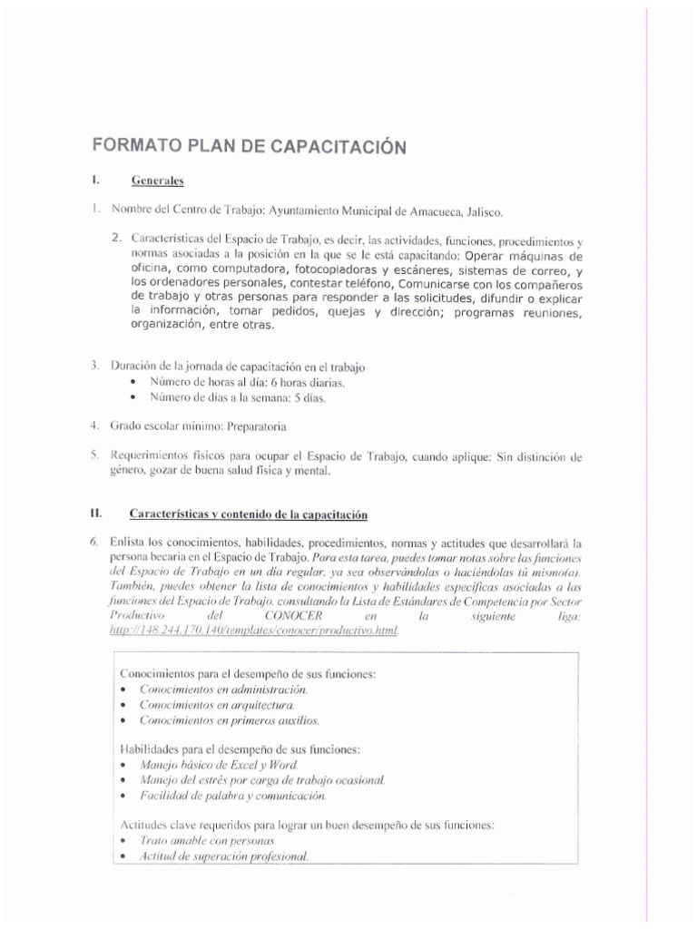 Plan de Capacitacion Jovenes Construyendo El Futuro | PDF