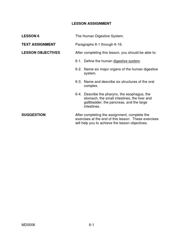 Digestive System | PDF | Human Digestive System | Small Intestine