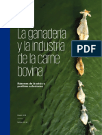 KPMG Argentina La Ganaderia y La Industria de La Carne Bovina Enero 2016