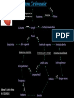 Sistema Cardiovascular