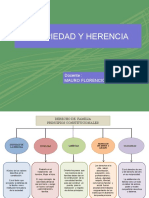 PROPIEDAD-Y-HERENCIA-Legis.pe_ (1)