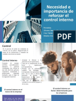 Necesidad e Importancia de Reforzar El Control Interno