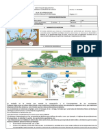 Componentes y Relaciones en Un Ecosistema