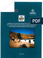 7309 Informe de Evaluacion Del Riesgo Por Flujo de Detritos en El Sector 01 Del Distrito de Mollepampa Provincia de Castrovirreyna Departamento de Huancave