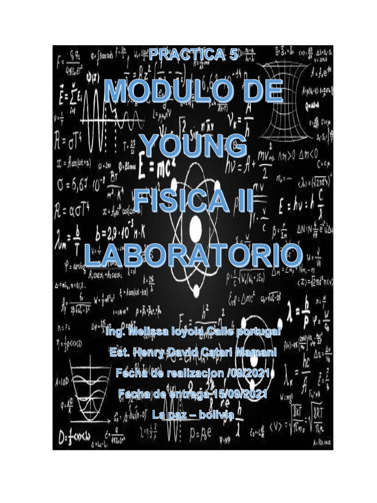 Determinación del Módulo de Young | PDF | El módulo de Young | Ciencia ...