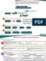 Guia - Deuda Tributaria