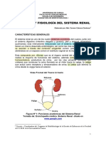 Anatomia Y Fisiología Del Sistema Renal: Características Generales