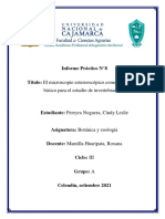 Tarea - Informe Practico 8