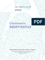 V Cuestionarios Respuestas