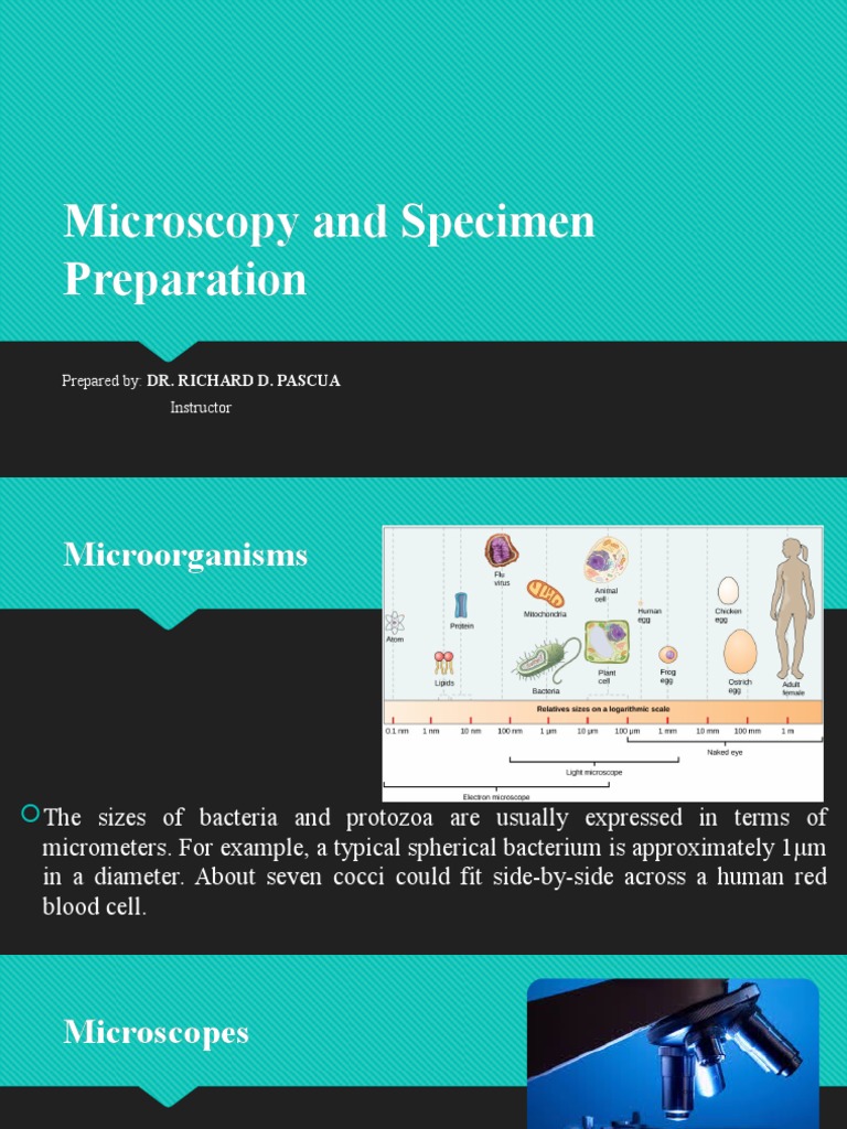Microscopy Techniques and Specimen Prep | PDF | Staining | Microscope