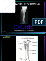 CRURIS, New