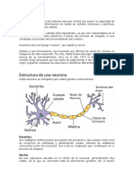 Neuron As