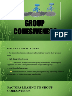 Group Cohesiveness Factors
