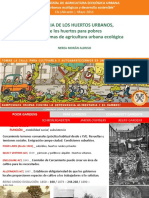 HISTORIA DE LOS HUERTOS URBANOS, A Los Programas de Agricultura Urbana Ecológica
