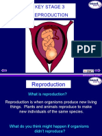 Key Stage 3 Reproduction: © Boardworks LTD 2001