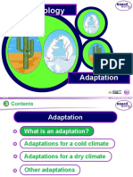 Ks4 Adaptation