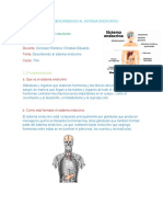 Proyecto Del Sistema Endocrino 7to-3031631803672