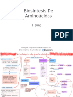 Biosintesis de Aminoacidos 151001 Downloable