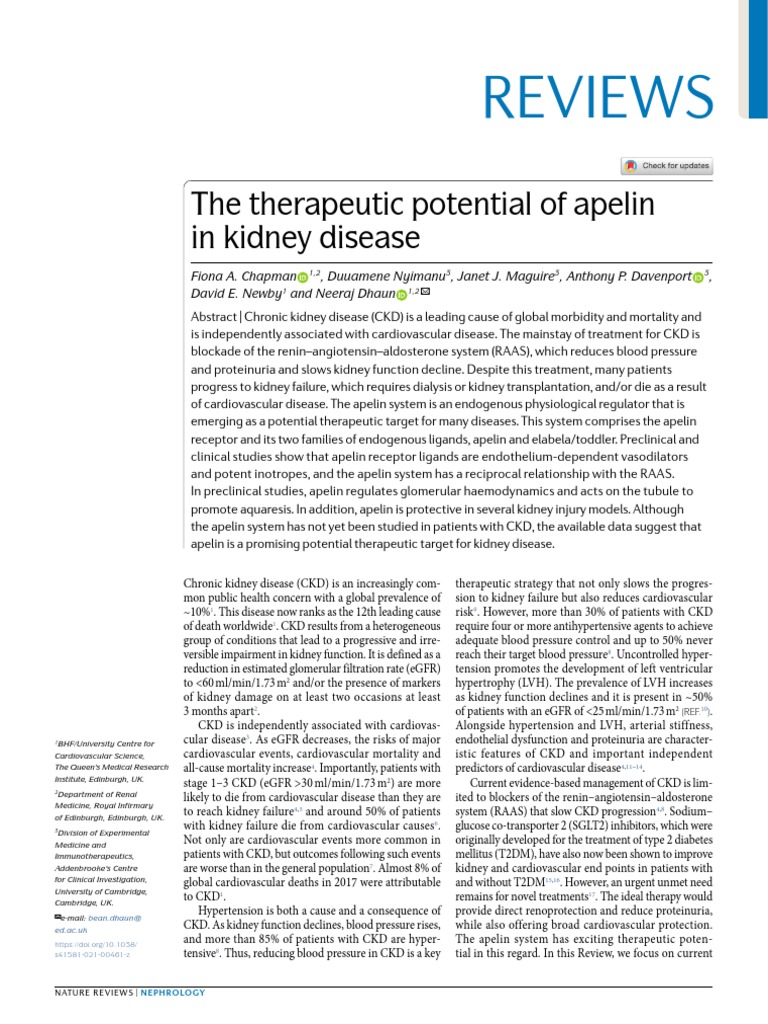 The Therapeutic Potential of Apelin in Kidney Disease | PDF | Chronic ...
