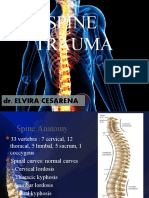 Spine Trauma: Dr. Elvira Cesarena