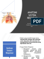 Anatomi Sistem Pernafasan