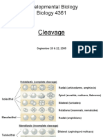 Developmental Biology Biology 4361: Cleavage