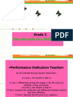 Grade 3: The Life Cycle of A Butterfly