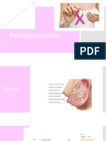 Patología mamaria