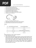 Soal Ujian Mid Semester