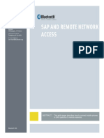 SAP and Remote Network Access Whitepaper V10