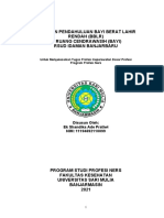 Laporan Pendahuluan BBLR di RSUD Idaman Banjarbaru