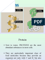 Lecture-5.2 Proteins