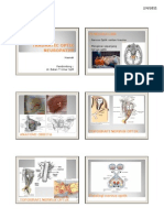 Traumatic Optic Neuropathy Handouts